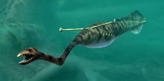 The 300 million-year-old ancient monster Tully possesses such an unusual morphology that scientists still do not know how to classify it. - Pet Care Blog