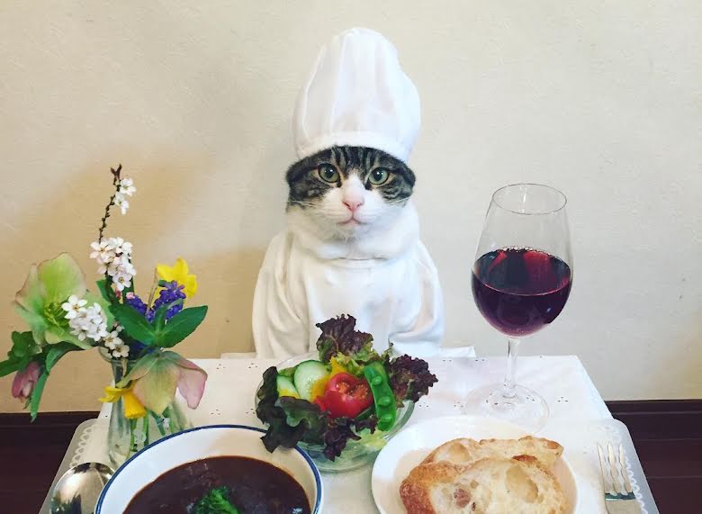 Cosplaying Cat Chef Dines With His Mom Every Night In Different Outfit