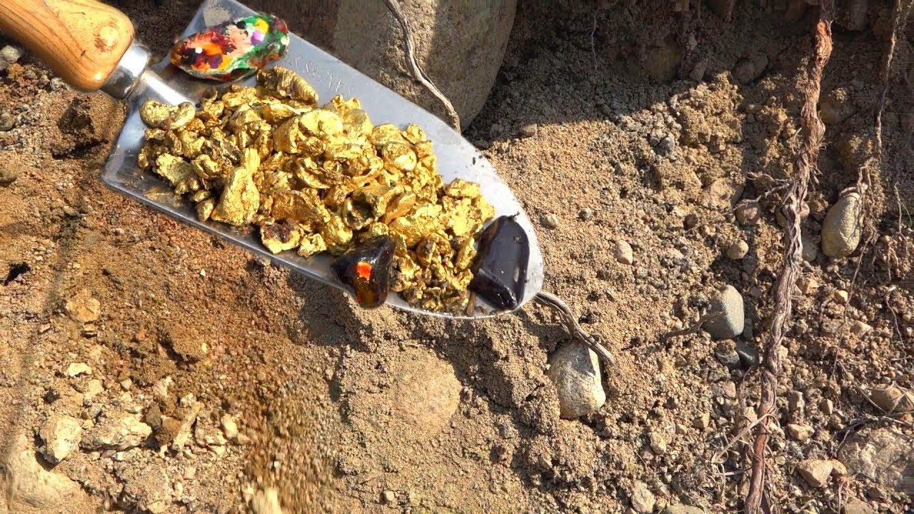Unveiling a 80-Kilogram Gold Nugget: The Thrill of Discovering a Priceless Treasure