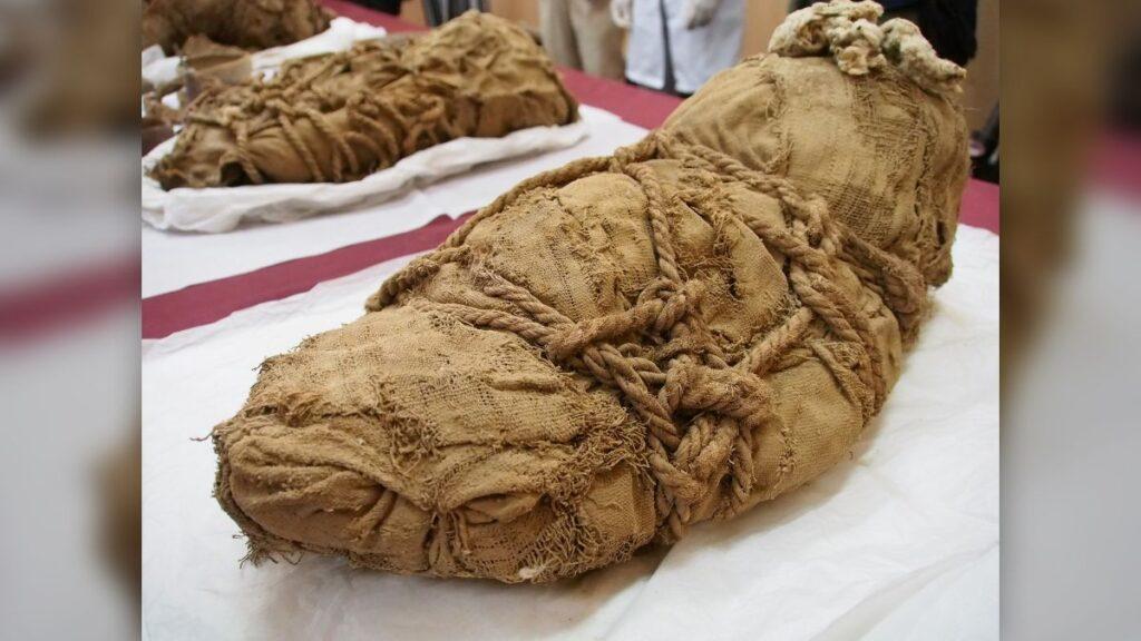 1,000-year-old mummies of 20 people discovered in Peru may have undergone ritual sacrifice - T-News