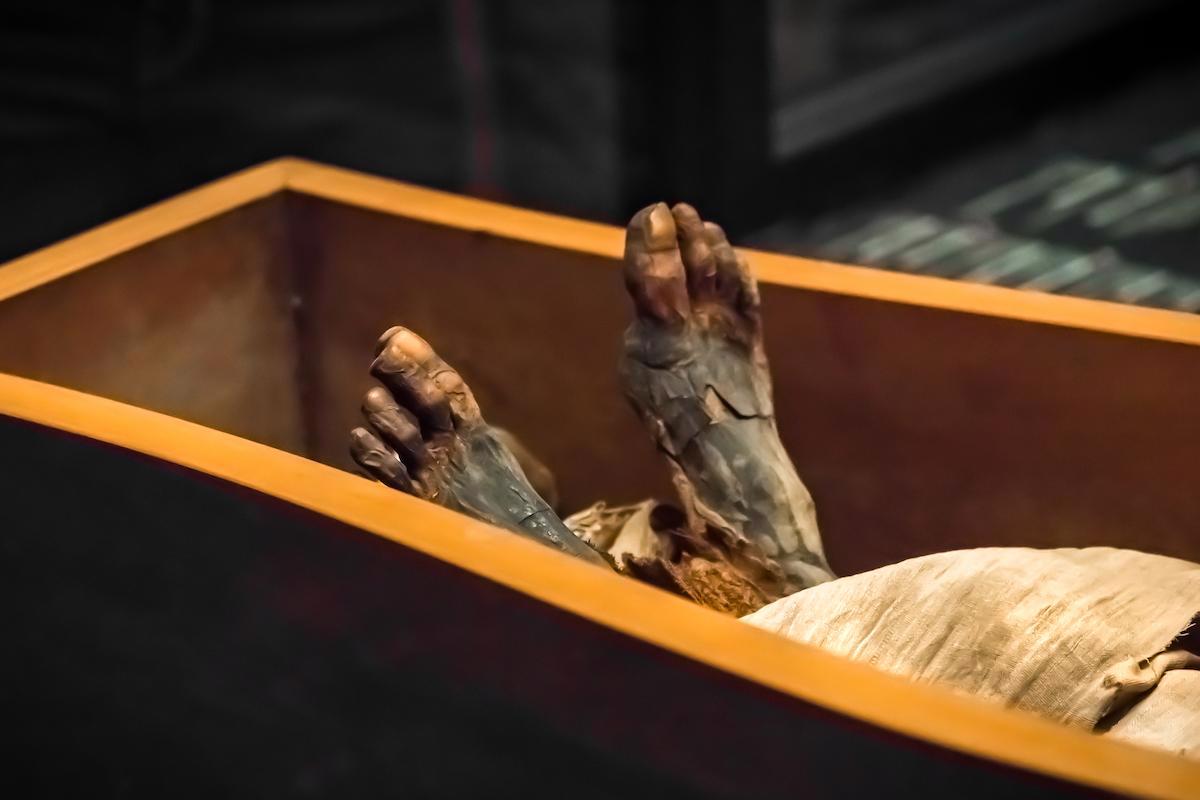 Random Corpses are Becoming Mysteriously Mummified in Portugal - movingworl.com