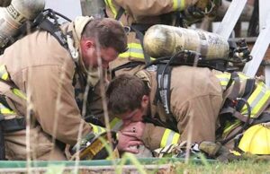 Valiant Guardians: 16 Heartwarming Images of Firefighters Rescuing Animals to Renew Your Belief in Human Kindness