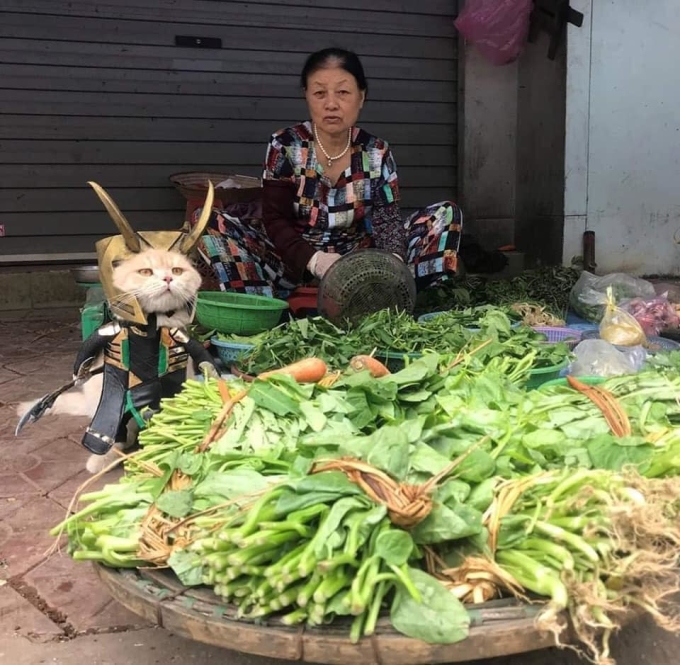 Hai nghìn một bó mồng tơiBốn nghìn hai bó mua dùm nhé anh.