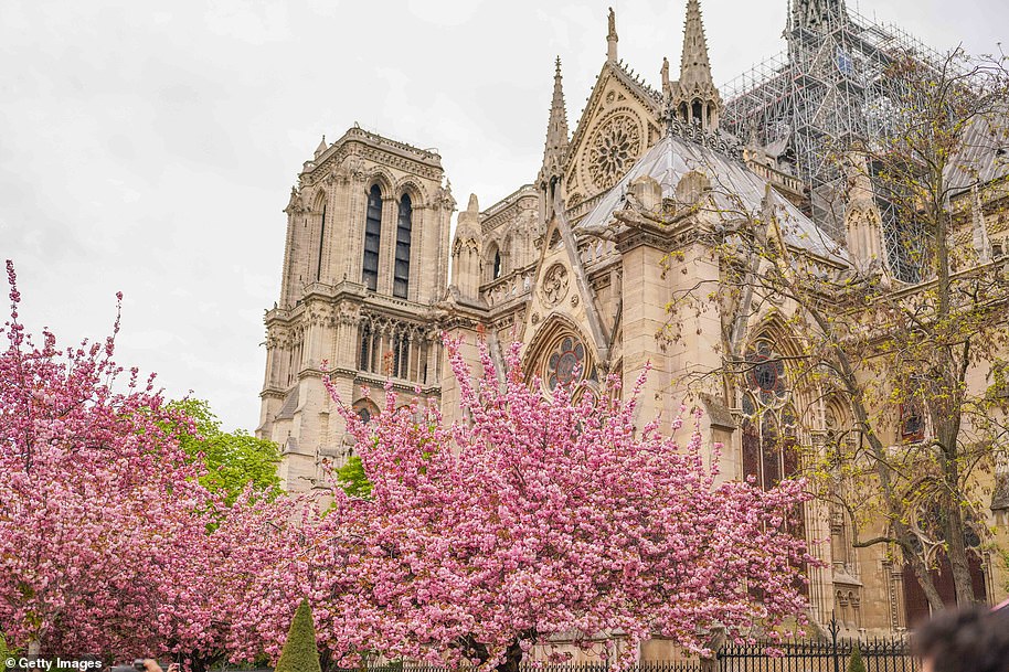 Ancient tombs and a leaden sarcophagus dating back to the 14th century are uncovered at Paris' Notre Dame during work to rebuild the cathedral following damage from the 2019 fire - T-News