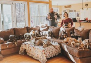 Couple Rescued All the Unwanted Senior Dogs from The Animal Shelters.