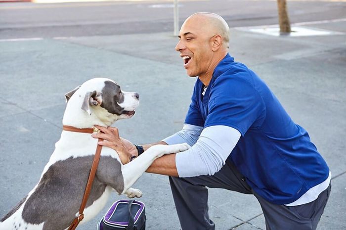 This Heroic Veterinarian Is Walking Around California Treating Homeless People’s Dogs For Free