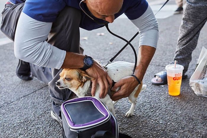 This Heroic Veterinarian Is Walking Around California Treating Homeless People’s Dogs For Free