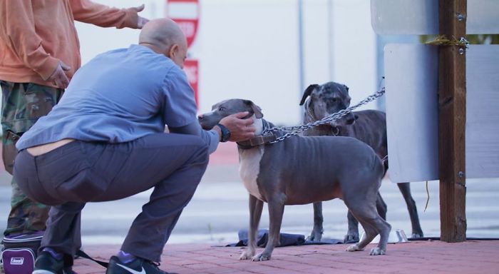 This Heroic Veterinarian Is Walking Around California Treating Homeless People’s Dogs For Free