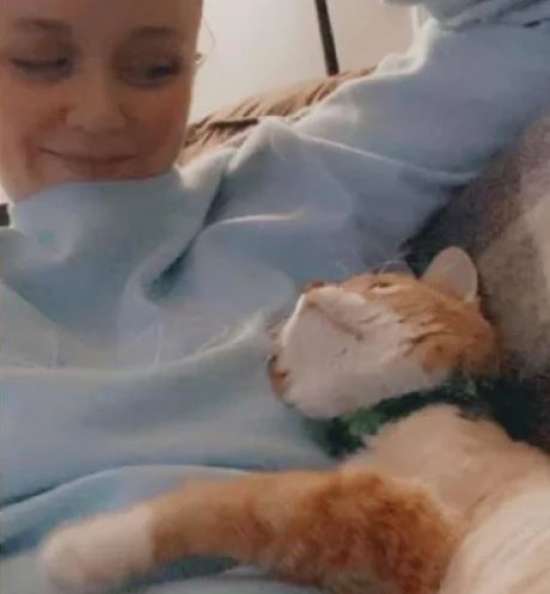 Barely Hanging On A Three-Legged Cat Returns To The House Where He Was Once Shown Kindness