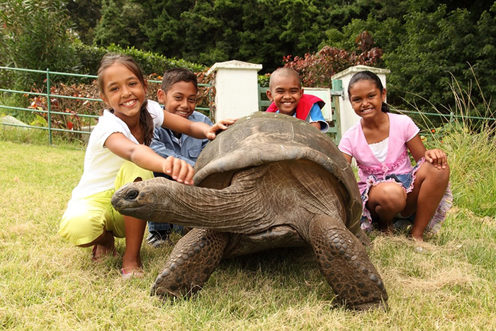 Jonathan, A 189-Year-Old Tortoise, Was Photographed In 1902 And Is Still Alive Today