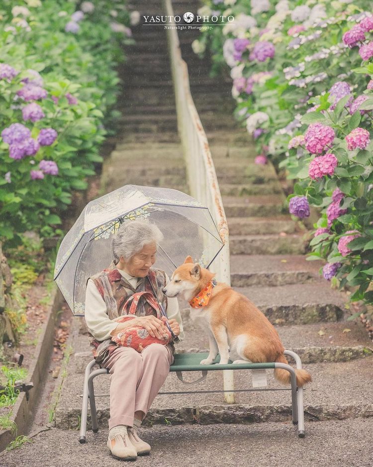 Photographer Captures the Adorable Friendship Between His Grandma and Her Dog
