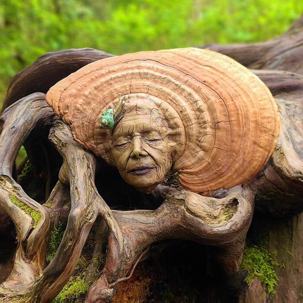 The sculptures that this Canadian artist creates are made of driftwood, seashells, dried mushrooms, and other materials - T-News