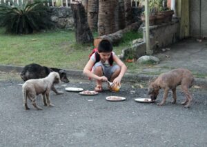 Dad finds out son has been secretly helping strays dogs, he couldn’t be more proud and joins him!