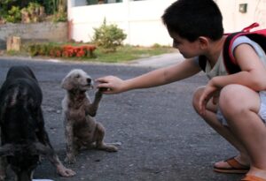 Dad finds out son has been secretly helping strays dogs, he couldn’t be more proud and joins him!