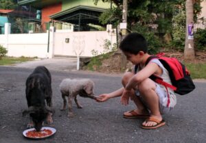 Dad finds out son has been secretly helping strays dogs, he couldn’t be more proud and joins him!