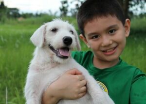 Dad finds out son has been secretly helping strays dogs, he couldn’t be more proud and joins him!