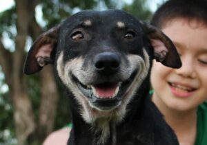 Dad finds out son has been secretly helping strays dogs, he couldn’t be more proud and joins him!