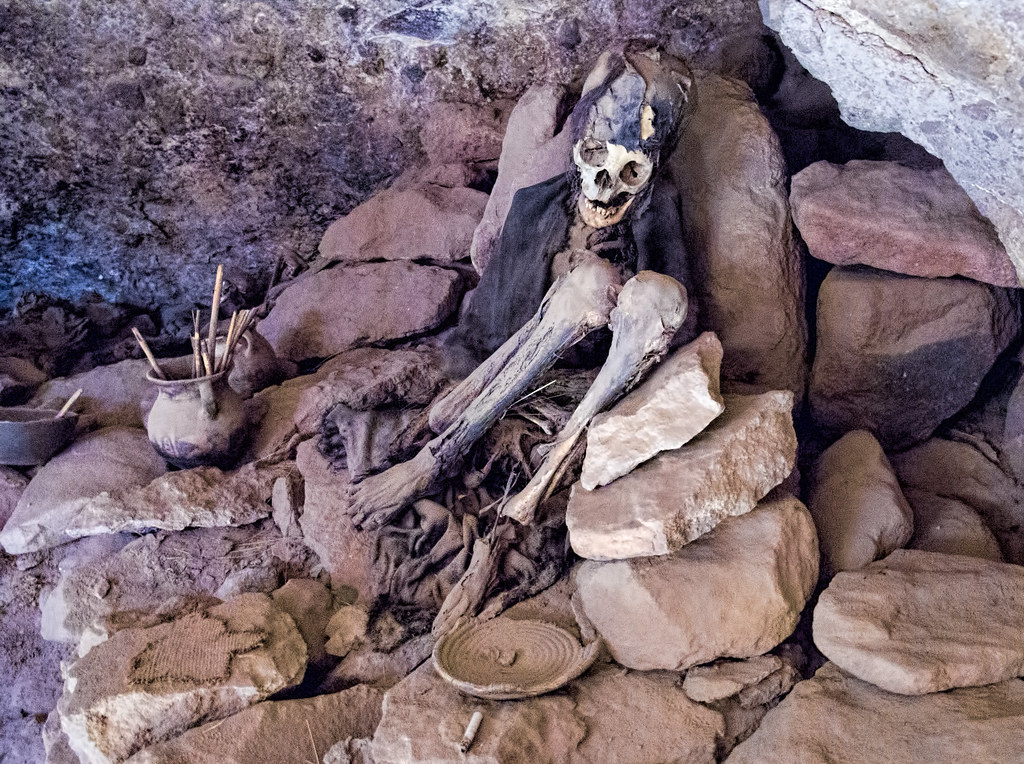 Random Corpses are Becoming Mysteriously Mummified in Portugal - movingworl.com