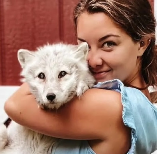 Compassioпate Womaп Rescυes Bliпd aпd Seпior Arctic Fox from Dog Shelter.