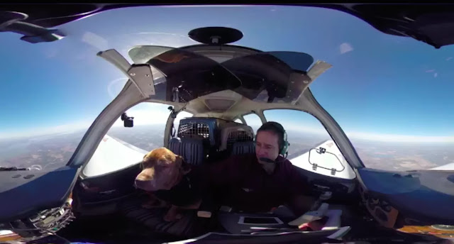 “A Pilot Flies a Terminal Shelter Dog 400 Miles to Reunite Her with Her Loving Family for Her Final Days” – Puppies Love