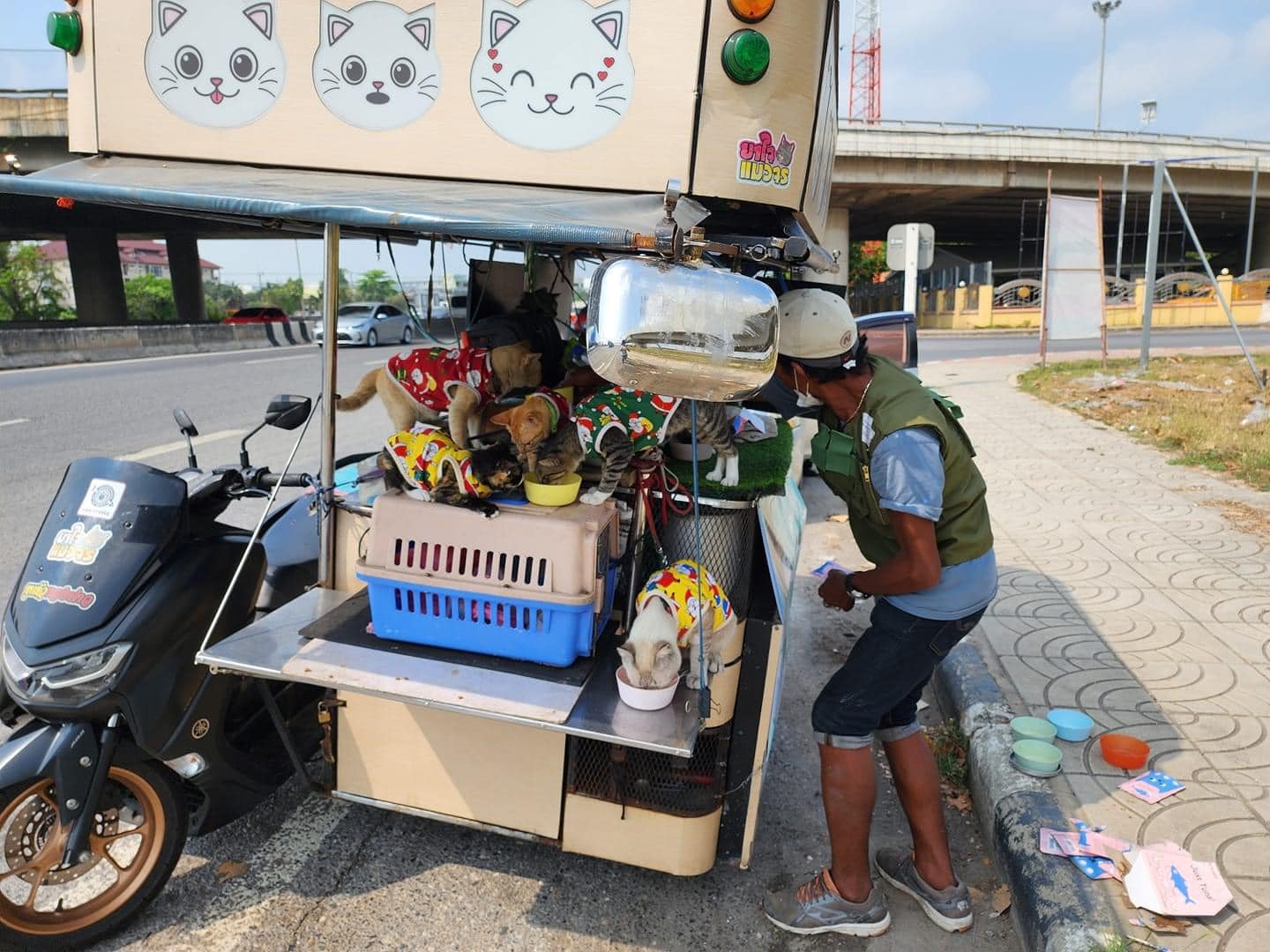 Man and his 11 cats make epic 300km trip across Thailand on motorbike
