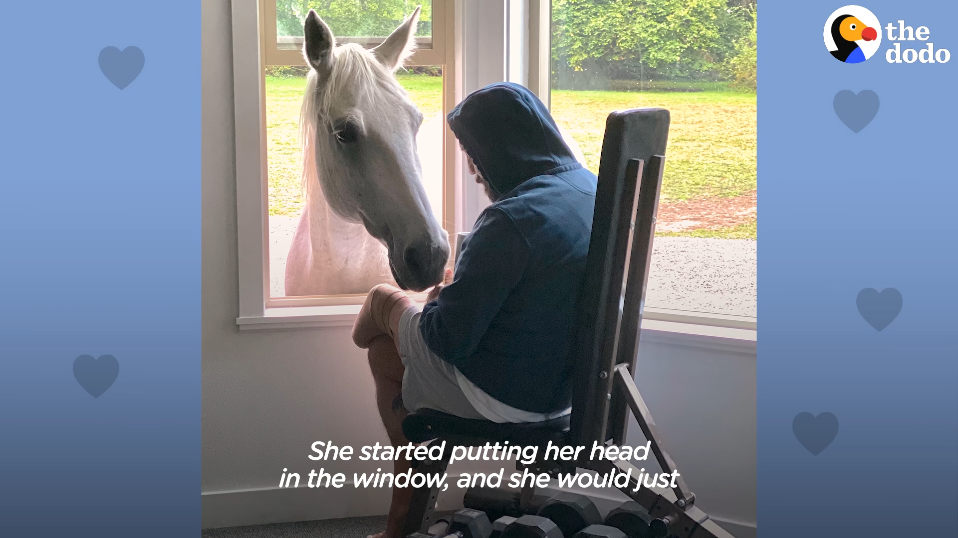 The Extraordinary Tale of a House-Invading Horse: A Story of Freedom and Friendship