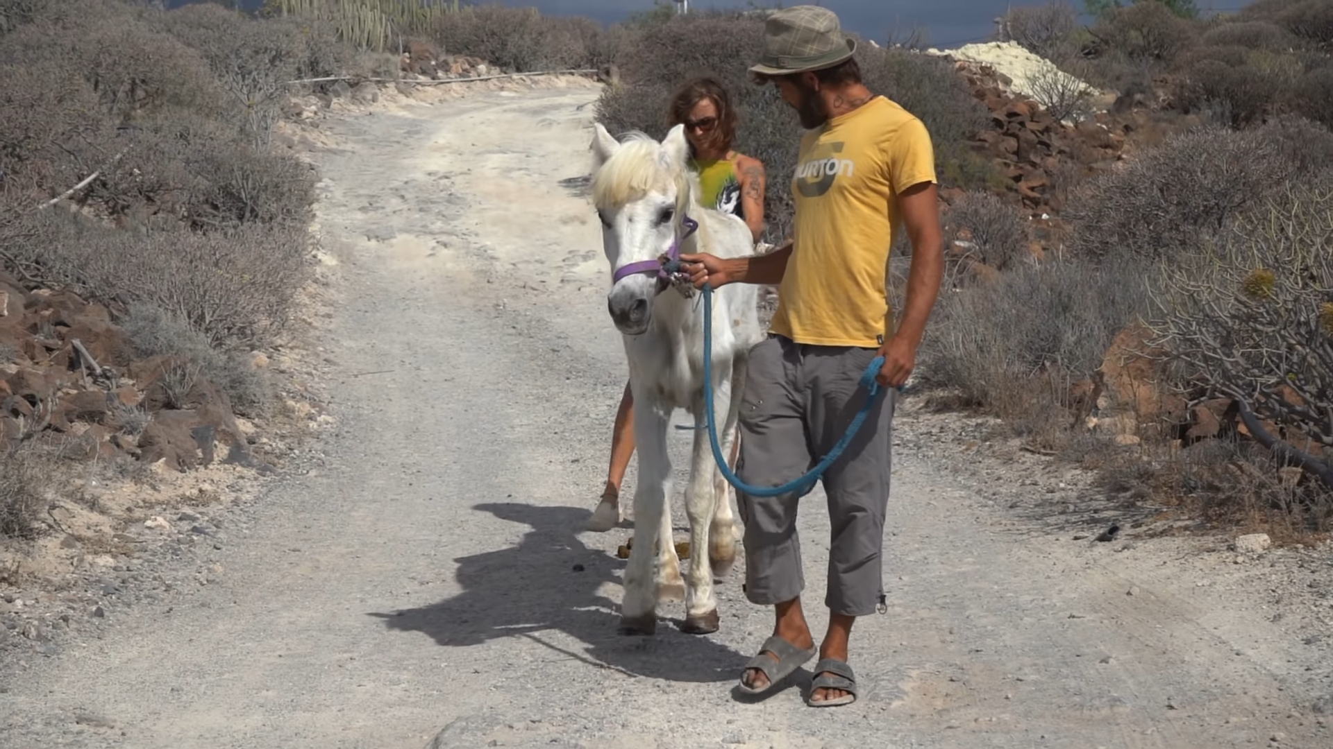 A Heartbreaking Tale: The Saga of a Skinny and Sick Horse's Fight for Survival