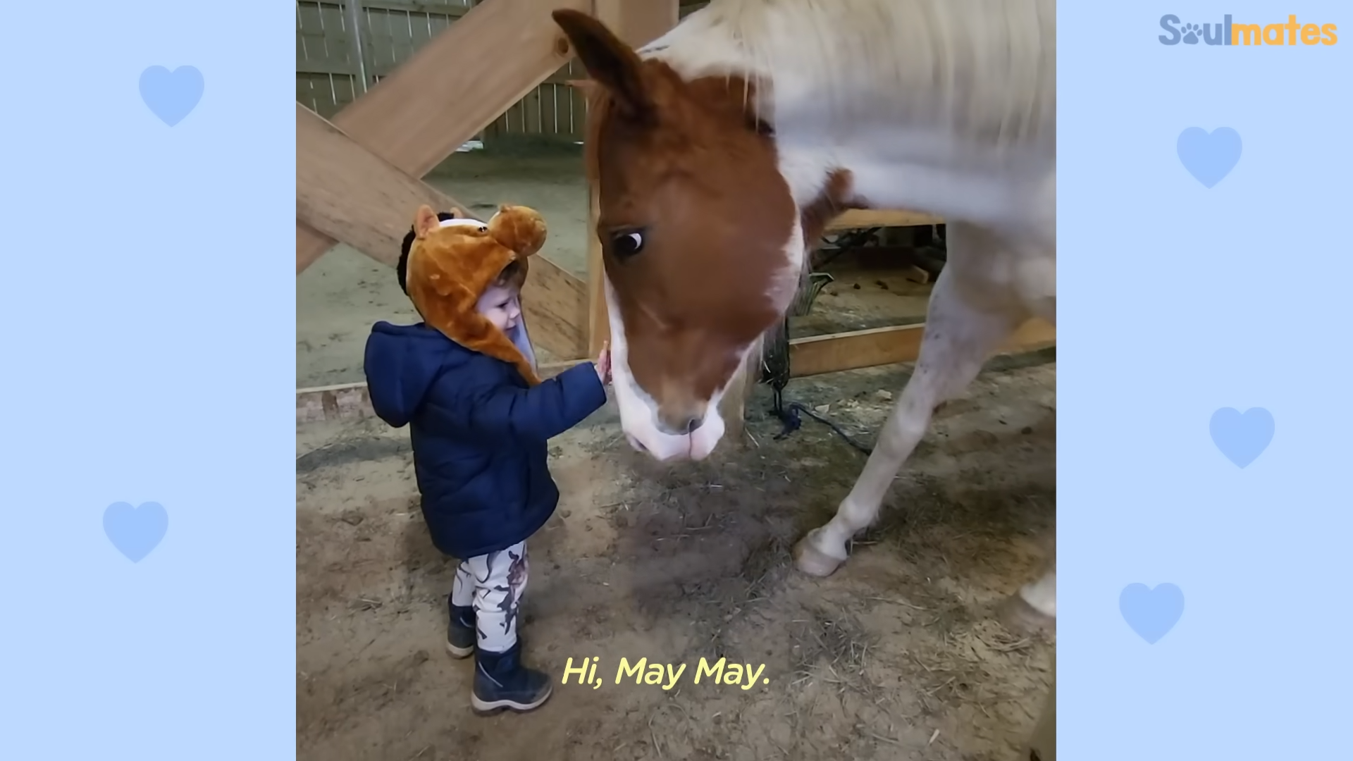 Unveiling the Magical Bond: A Heartwarming Tale of a Little Boy and His Faithful Horse