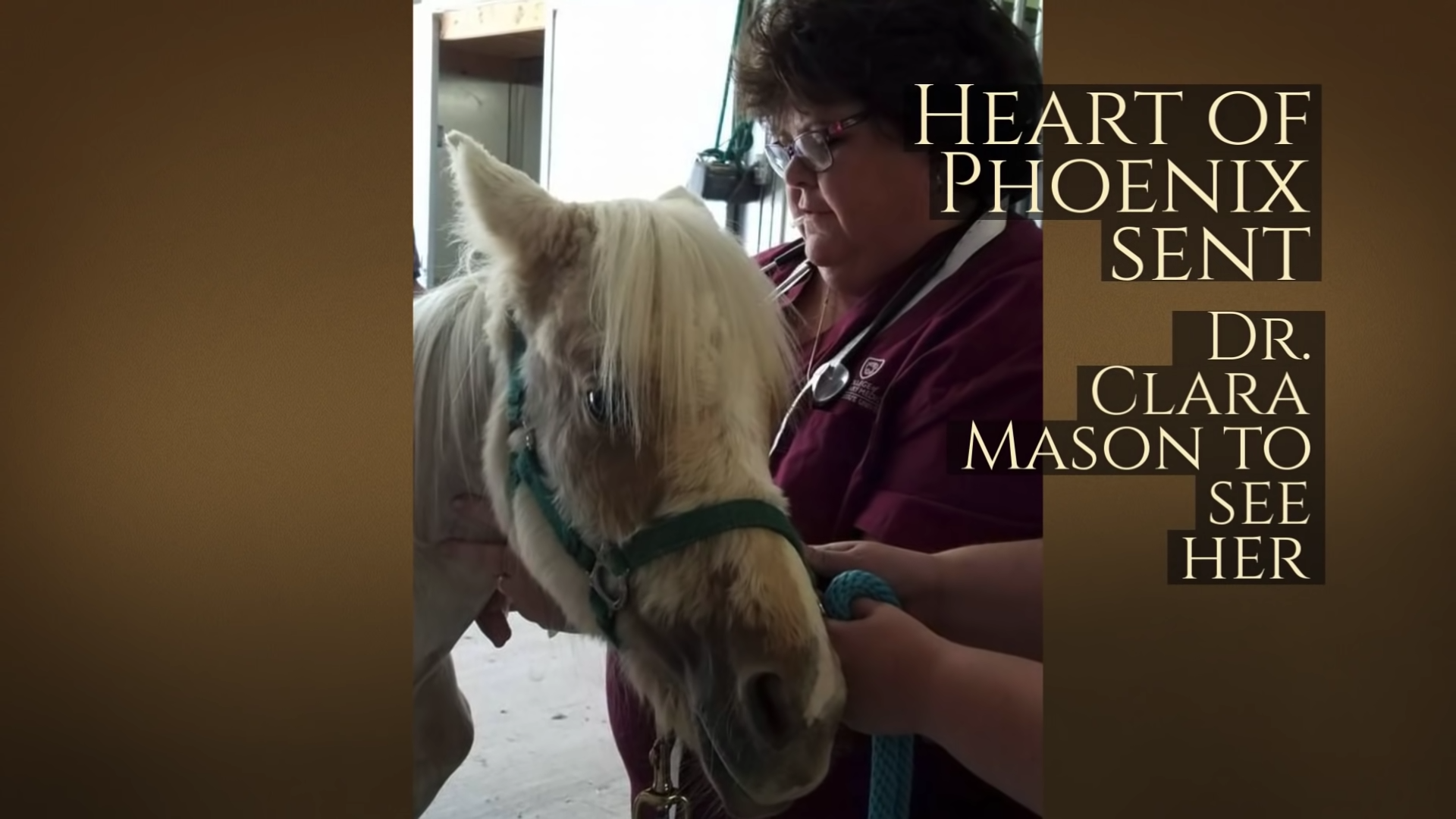 Sansa's Journey: The Most Incredible Horse Rescue and Recovery Story You Will Ever Witness