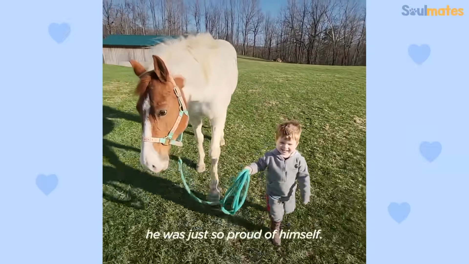 Unveiling the Magical Bond: A Heartwarming Tale of a Little Boy and His Faithful Horse