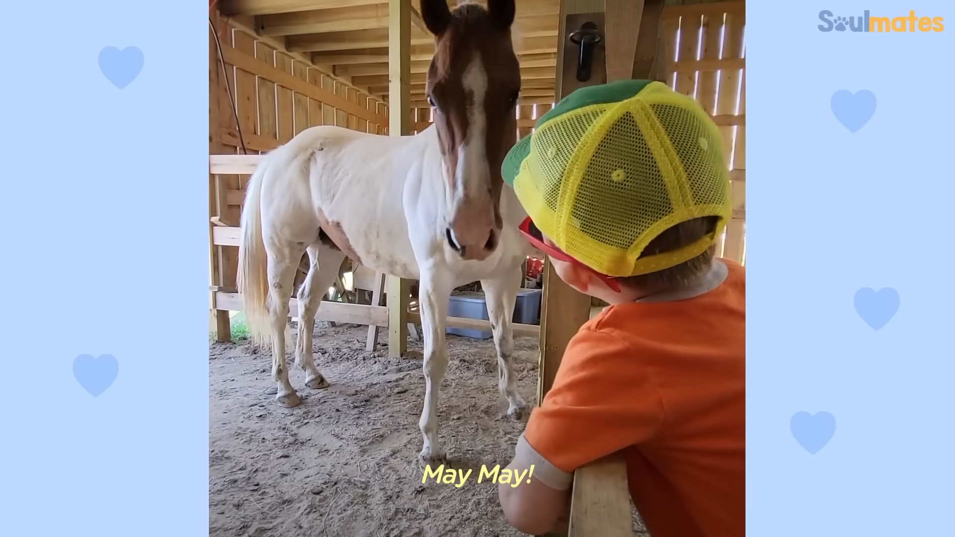 Unveiling the Magical Bond: A Heartwarming Tale of a Little Boy and His Faithful Horse