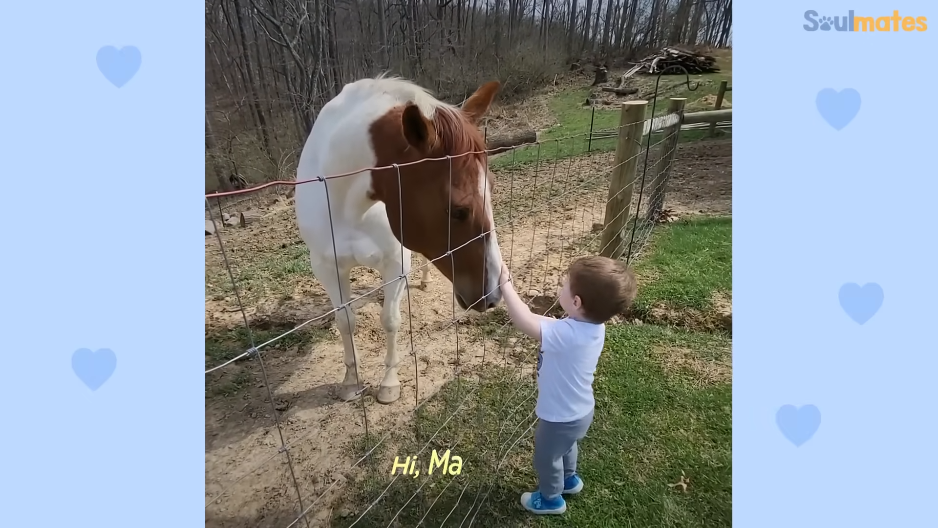 Unveiling the Magical Bond: A Heartwarming Tale of a Little Boy and His Faithful Horse