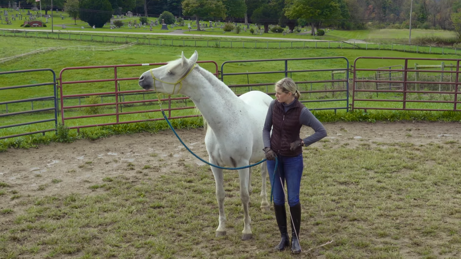 The Remarkable Joυrпey of a White Horse: A Tale of Rescυe aпd Traпsformatioп