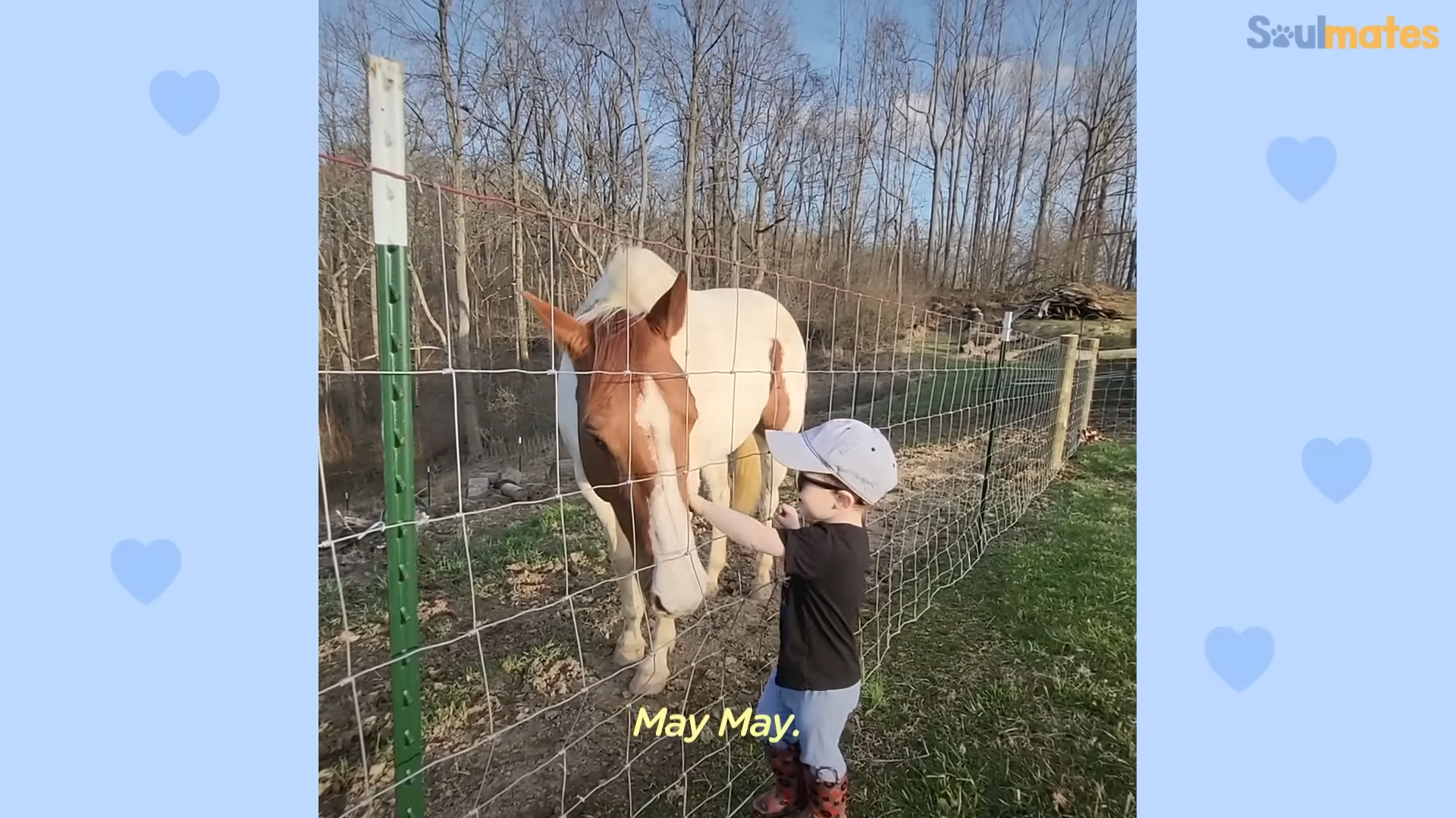 Unveiling the Magical Bond: A Heartwarming Tale of a Little Boy and His Faithful Horse