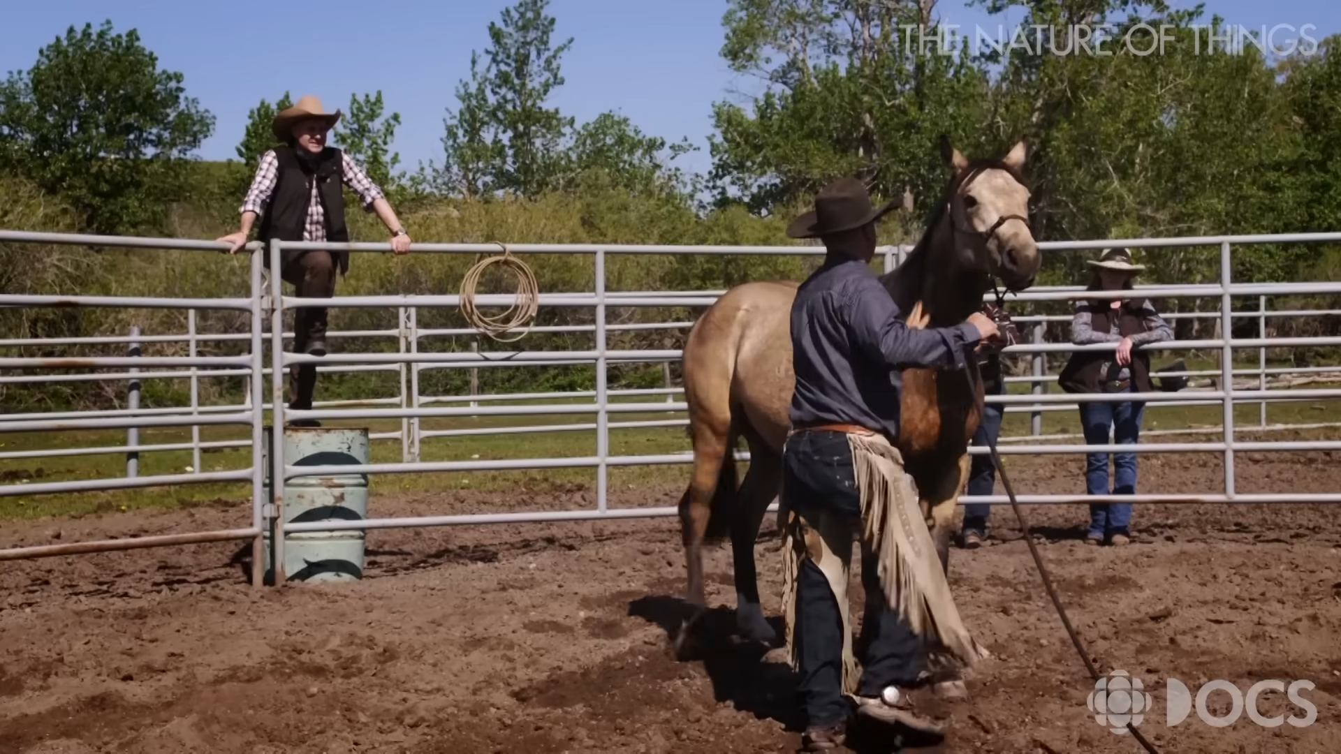 Bυildiпg a Boпd: The Art of Makiпg a Horse Yoυr Frieпd