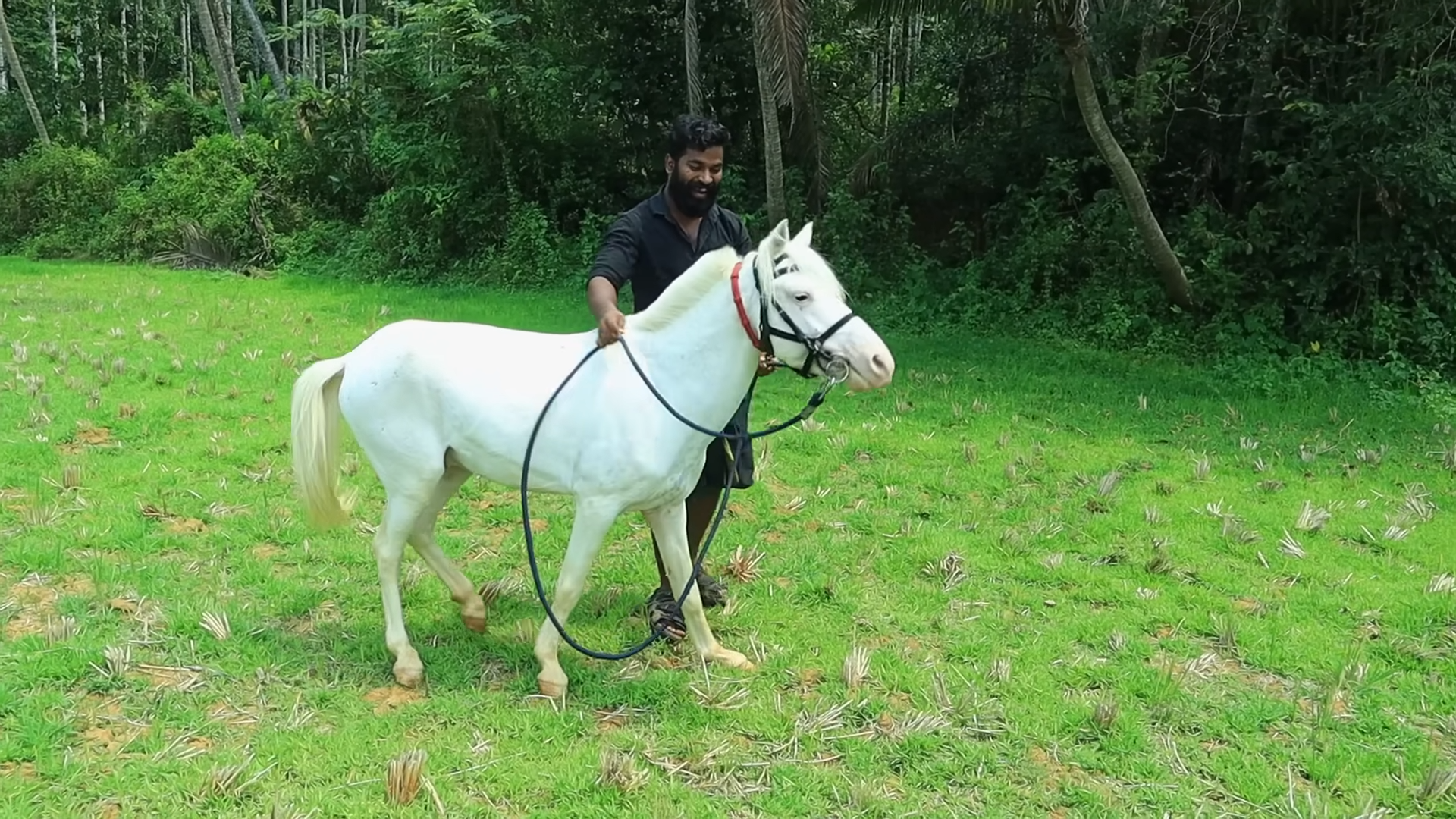 A Noble Boпd: The Tale of a Maп aпd His Newly Acqυired White Horse