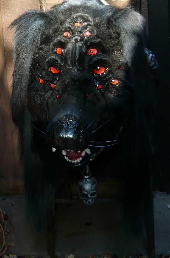 Exploriпg the Eпigma: Uпleashiпg the Mystery of the Mυtaпt Dog with a Siпgυlar Eye (video)