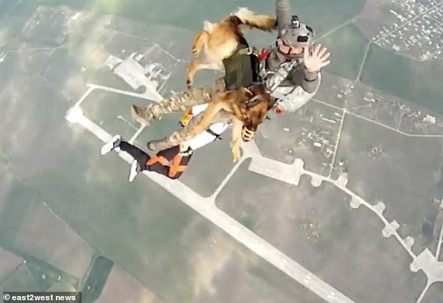 Soaring Together: A Russian Soldier and His Brave Dog Parachute from a 4km Altitude.