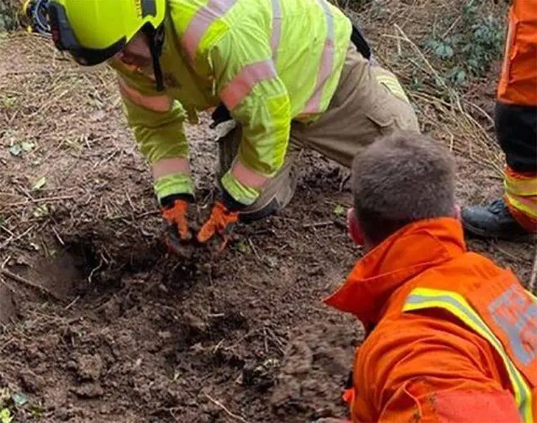 Dramatic Rescue: Poor Dog Trapped Underground for Hours Finally Freed by Heroic Rescue Team