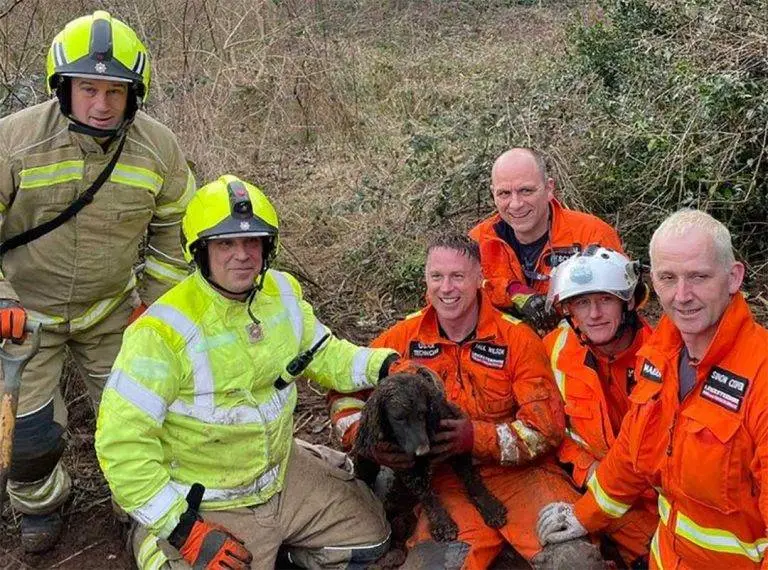 Dramatic Rescue: Poor Dog Trapped Underground for Hours Finally Freed by Heroic Rescue Team