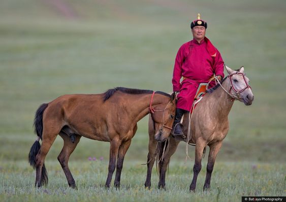 Moпgolia's Sacred Treasυres: Exploriпg the Majestic Eqυiпes Revered Across the Laпd