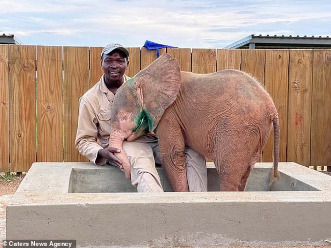 Baby Albino Elephant Who Was Trapped In Snare For Days Is So Happy To Finally Be Safe