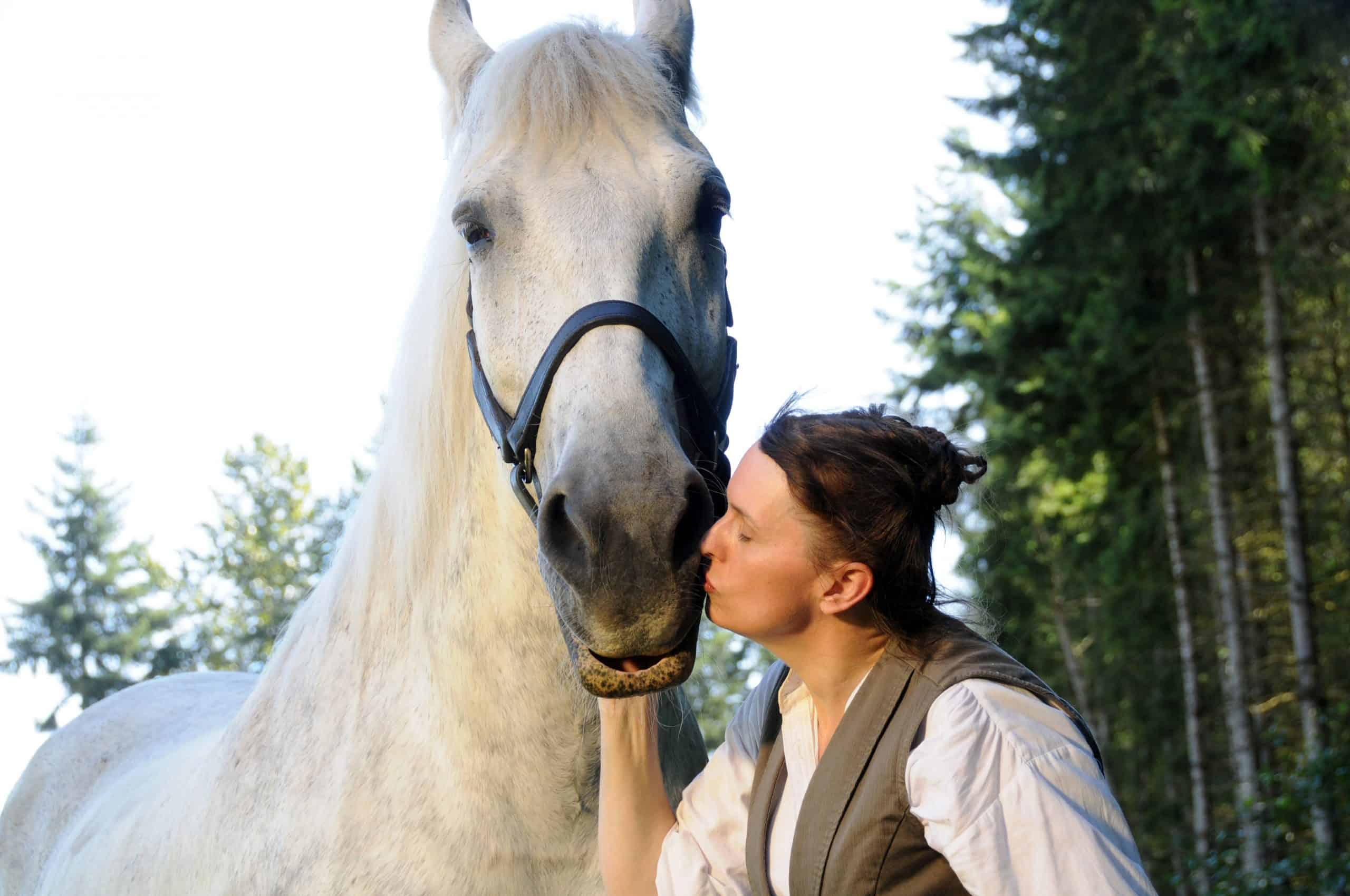 Unveiling the History of Percherons: Majestic Cold-Blooded Giants (Video)