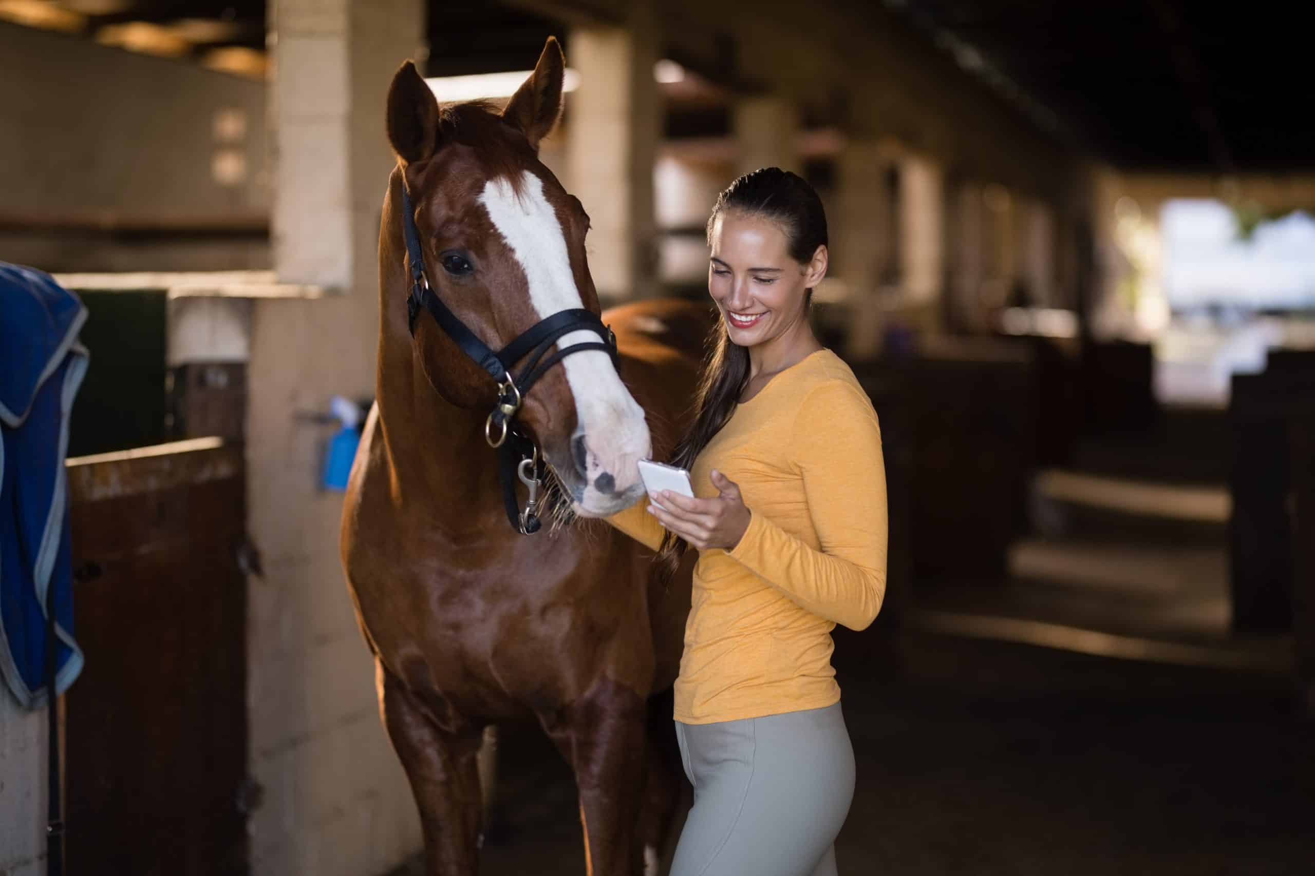 Comparing Intelligence: Are Horses Smarter Than Dogs? (Video)