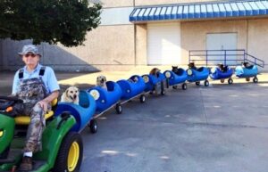 Man Constructs Special Doggie Train for Abandoned Dogs Near His House, Providing Shelter and Care - Puppies Love