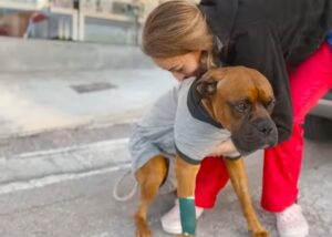 Heartbreaking Scene of Dog Diagnosed with Four Terrible Diseases Lying Helplessly on the Ground Evokes Tears