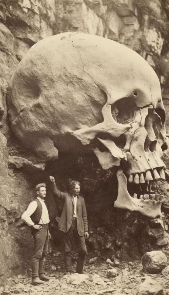 Archaeologists take pleasure in posing before a giant skull discovered in 1838. Do you believe in the existence of giants in Earth's history? - T-News