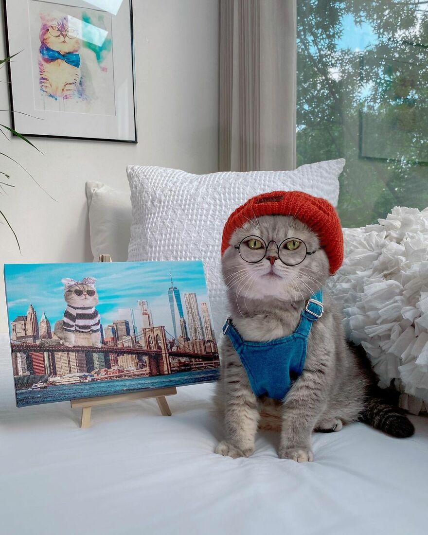 "Fashionable Feline: The Heartwarming Story of a Rescued Cat Who Became an Instagram Star" - yeudon