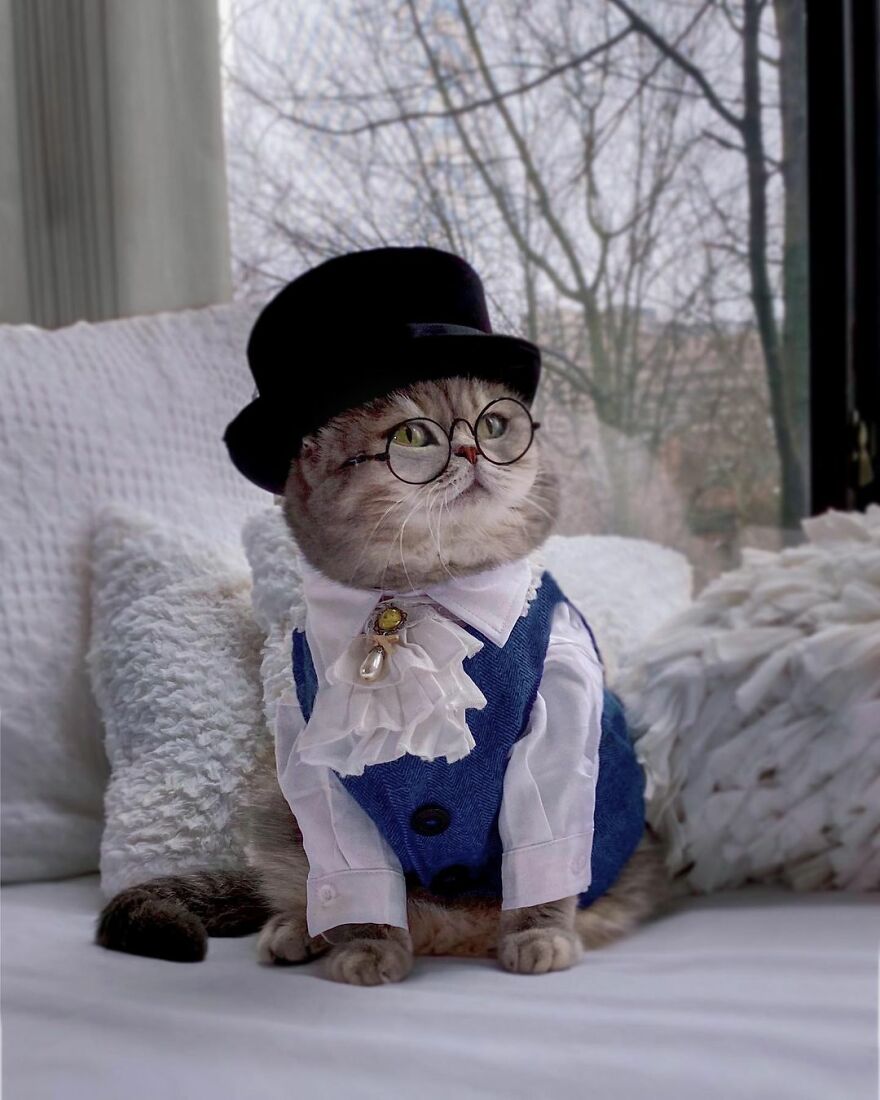 "Fashionable Feline: The Heartwarming Story of a Rescued Cat Who Became an Instagram Star" - yeudon