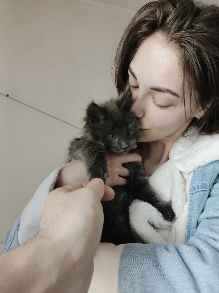 Say Hello to Vincent, the Playful Maine Coon Cat with the Appearance of a Black Panther and the Manners of a Canine - yeudon